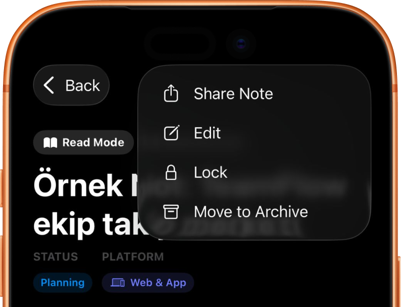 Orange VibeMemo phone